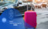 Ubud-Transport-with-Best-Fare
