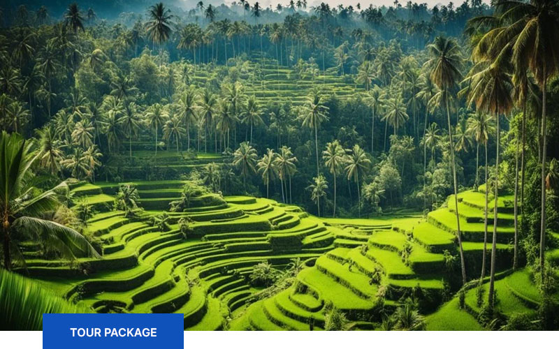 Ubud-tour